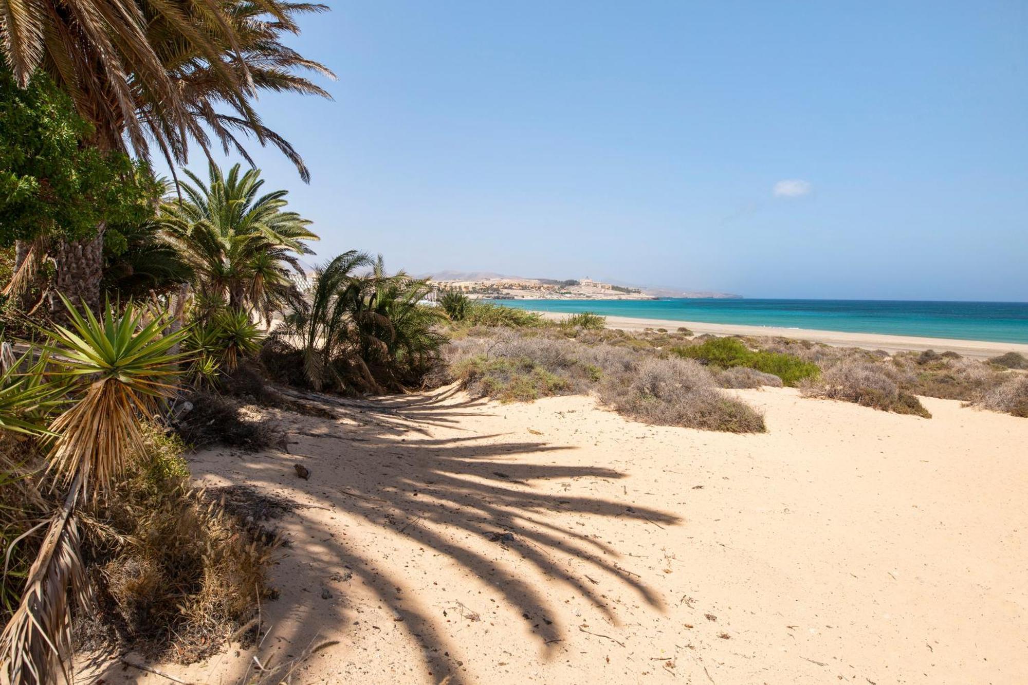Holiday home Casa Alisios Costa Calma